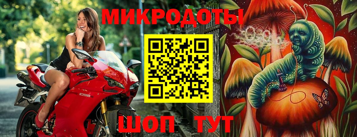 Галлюциногенные грибы Psilocybe Шуя